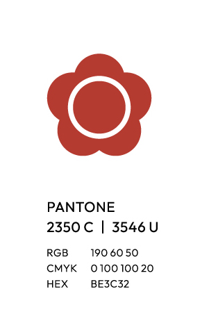 政大識別系統介紹